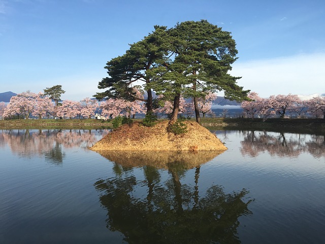 日本の島、桜色のイメージ